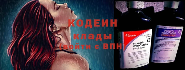 хмурый Алексин