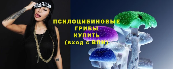 дживик Покачи