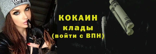 прущие грибы Нязепетровск