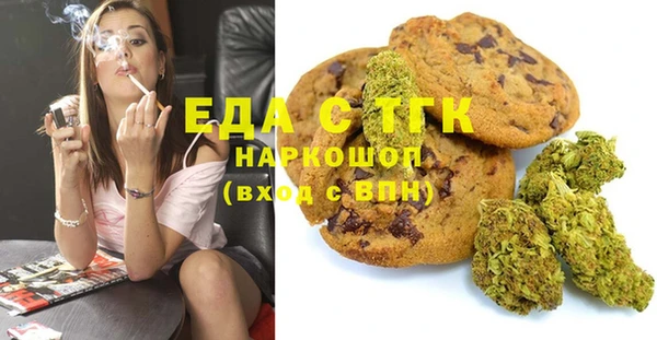 хмурый Алексин