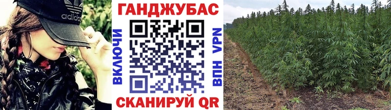 Шишки марихуана Amnesia  blacksprut ССЫЛКА  Бавлы 